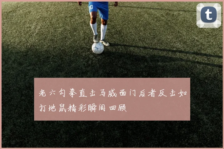 老六勾拳直击马威面门后者反击如打地鼠精彩瞬间回顾