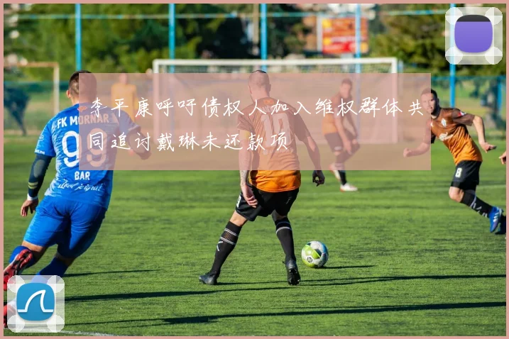 李平康呼吁债权人加入维权群体共同追讨戴琳未还款项