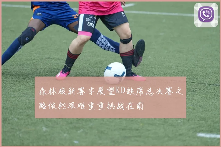 森林狼新赛季展望KD缺席总决赛之路依然艰难重重挑战在前